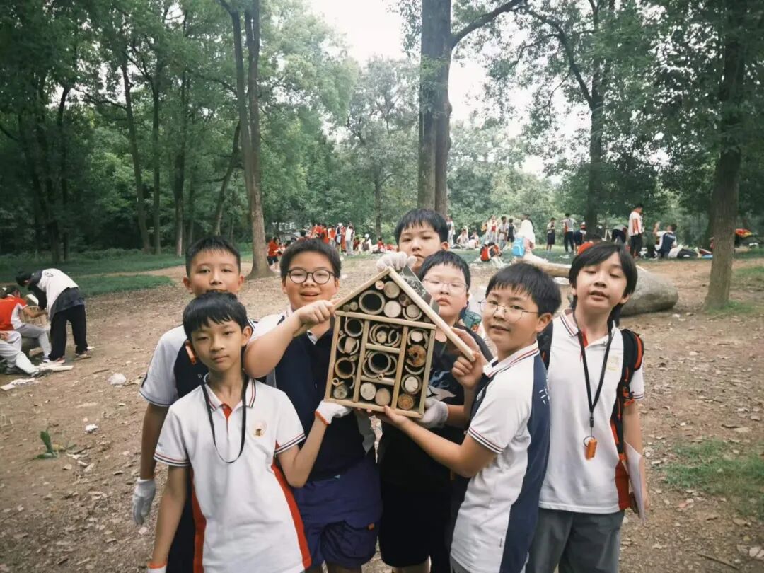 13.jpg 13.jpg